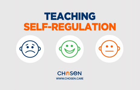 Regulation, Parenting Resource, Parenting Help, Teaching Self-Regulation