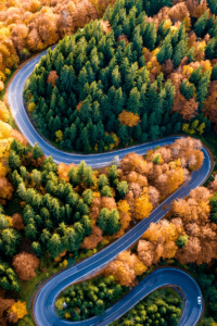 Picture shows a wavy road full of highs and lows that represents the highs and lows chosen experienced in 2023